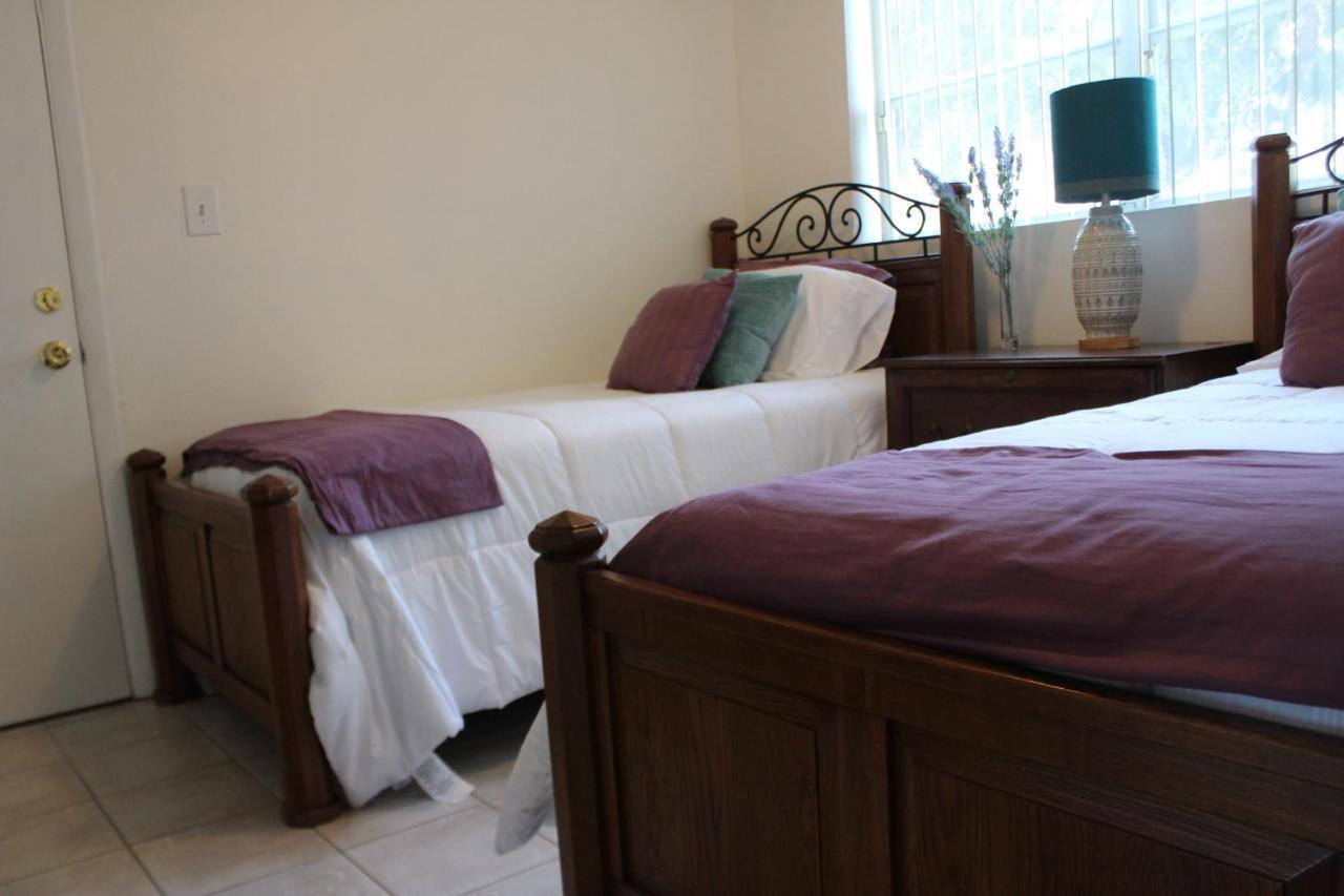 Traditional Cozy Historic Tampa Home Екстер'єр фото